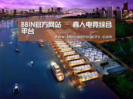 案例展示八
