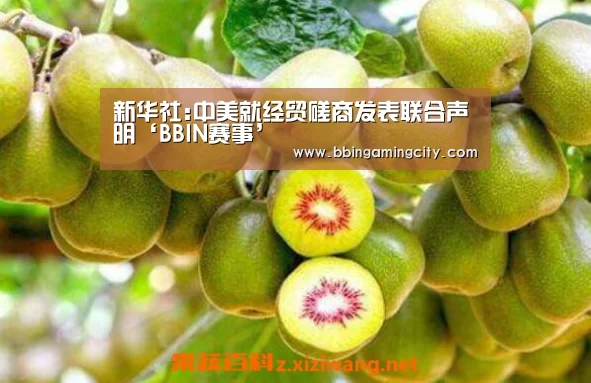 新华社:中美就经贸磋商发表联合声明‘BBIN赛事’(图1) BBIN赛事