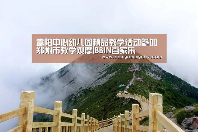 嵩阳中心幼儿园精品教学活动参加郑州市教学观摩|BBIN百家乐(图2) BBIN棋牌