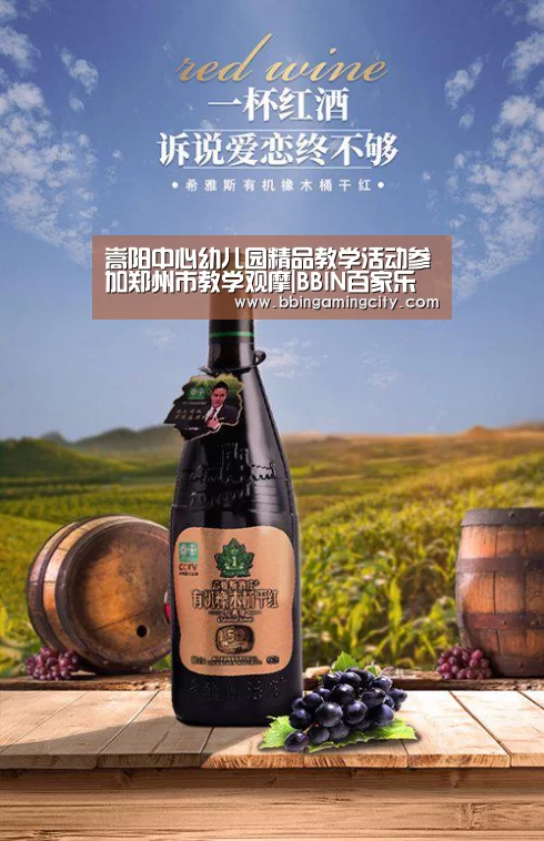 嵩阳中心幼儿园精品教学活动参加郑州市教学观摩|BBIN百家乐(图3) BBIN百家乐