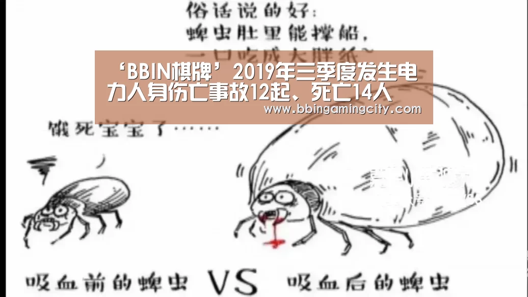 ‘BBIN棋牌’2019年三季度发生电力人身伤亡事故12起、死亡14人(图1) BBIN棋牌