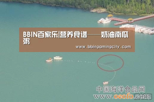 BBIN下载