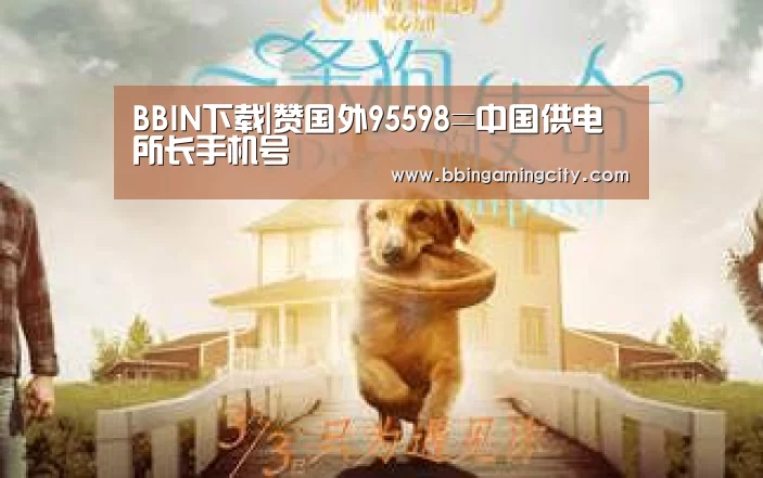 BBIN赛事