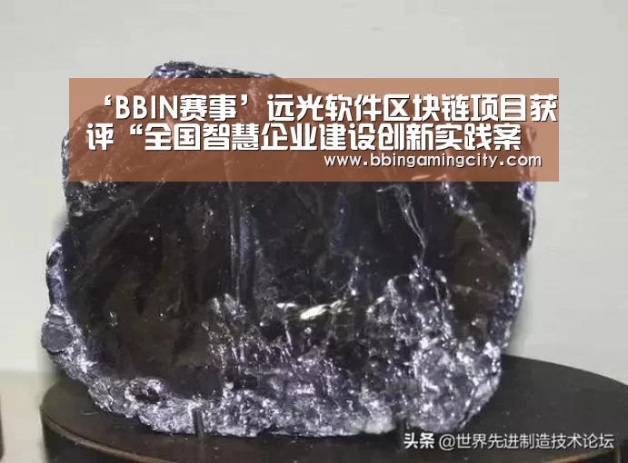 ‘BBIN赛事’远光软件区块链项目获评“全国智慧企业建设创新实践案例”(图3) BBIN赛事