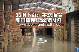BBIN下载:生态环境部日查京津冀及周边236县(市、区)发现涉气环境问题118个(图3) BBIN赛事